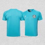 Camiseta de Entrenamiento Palmeiras 23-24 Verde