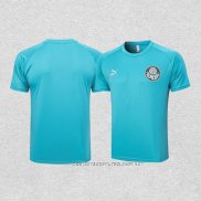 Camiseta de Entrenamiento Palmeiras 23-24 Verde