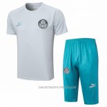 Chandal del Palmeiras 23-24 Manga Corta Gris - Pantalon Corto