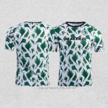 Camiseta Pre Partido del Nigeria 20-21 Verde