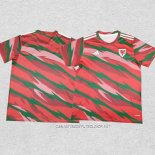 Camiseta Pre Partido del Gales 2024 Rojo