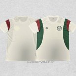 Camiseta de Entrenamiento Palmeiras 23-24 Blanco