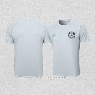 Camiseta de Entrenamiento Palmeiras 23-24 Gris