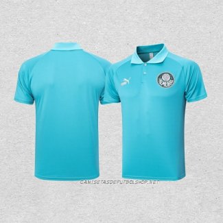 Camiseta Polo del Palmeiras 23-24 Verde