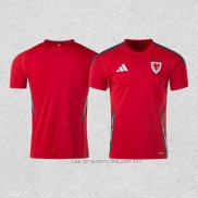 Camiseta Primera Gales 2024